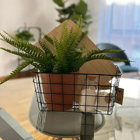 Apartament Oktheway Pedro Saco Street 2 *